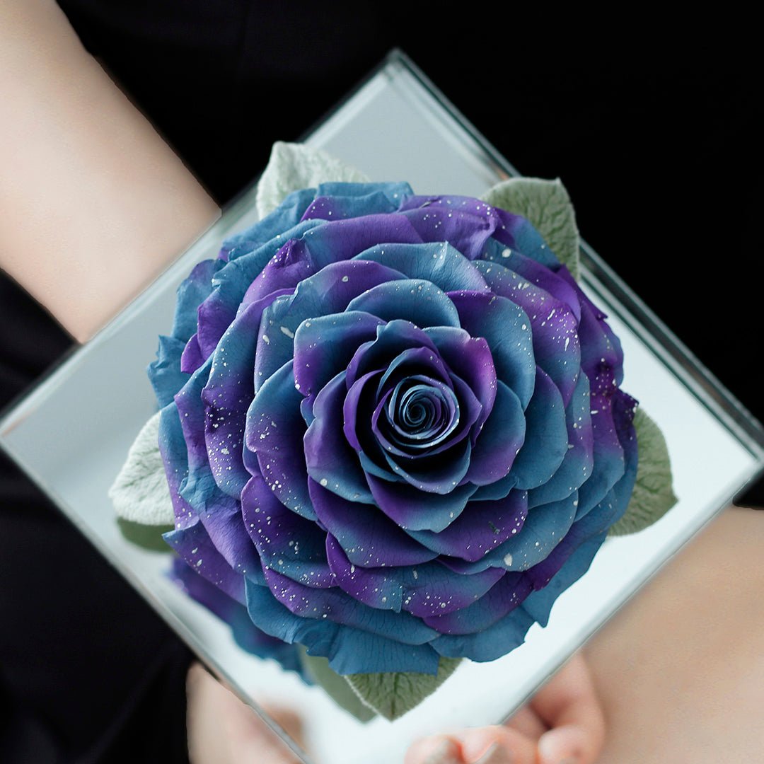 Starlight Mirror Large Rose Promise—Acrylic Display Box - Aura Petal