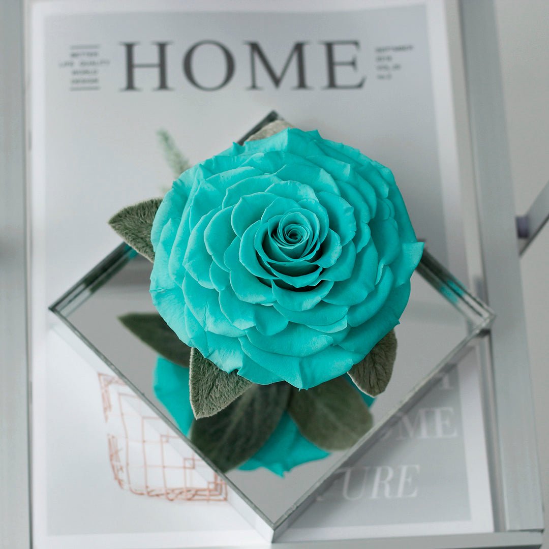 Mirror Large Rose Promise—Acrylic Display Box - Aura Petal