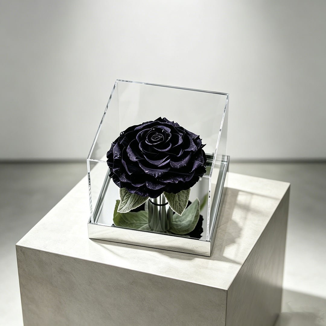Starlight Mirror Large Rose Promise—Acrylic Display Box - Aura Petal