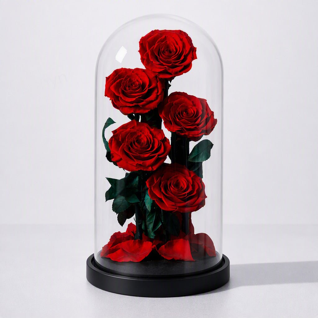 The Promise That Never Ends Preserved Rose Gift - Alzethyn