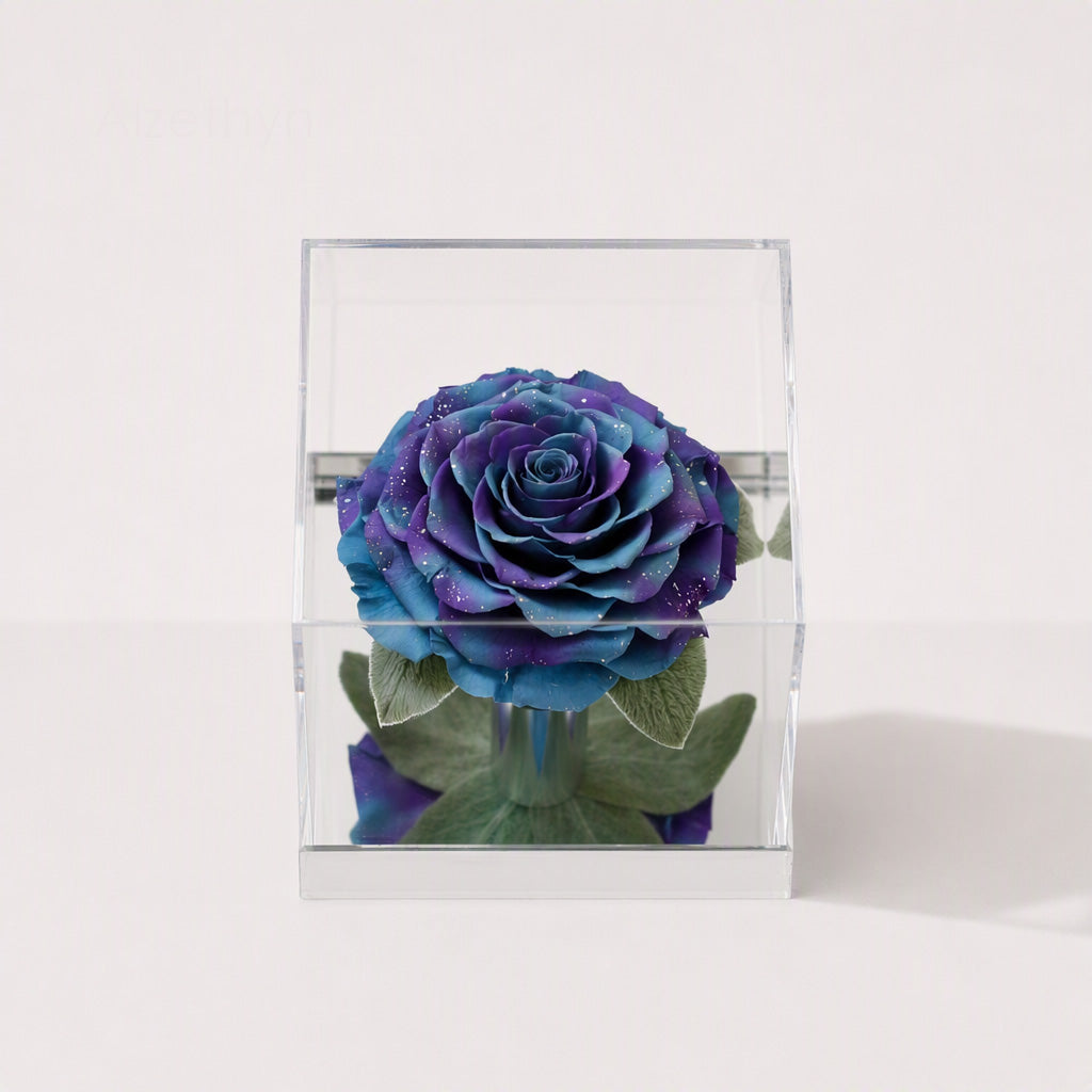 Starlight Mirror Rose in Acrylic Display Box