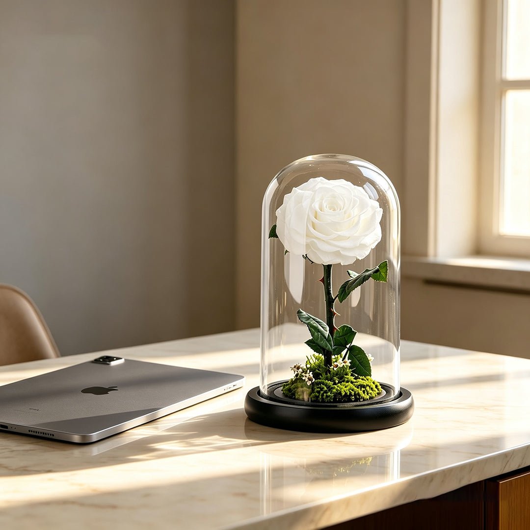 A Rose That Lives Forever ——Glass Dome with Moss Base - Aura Petal