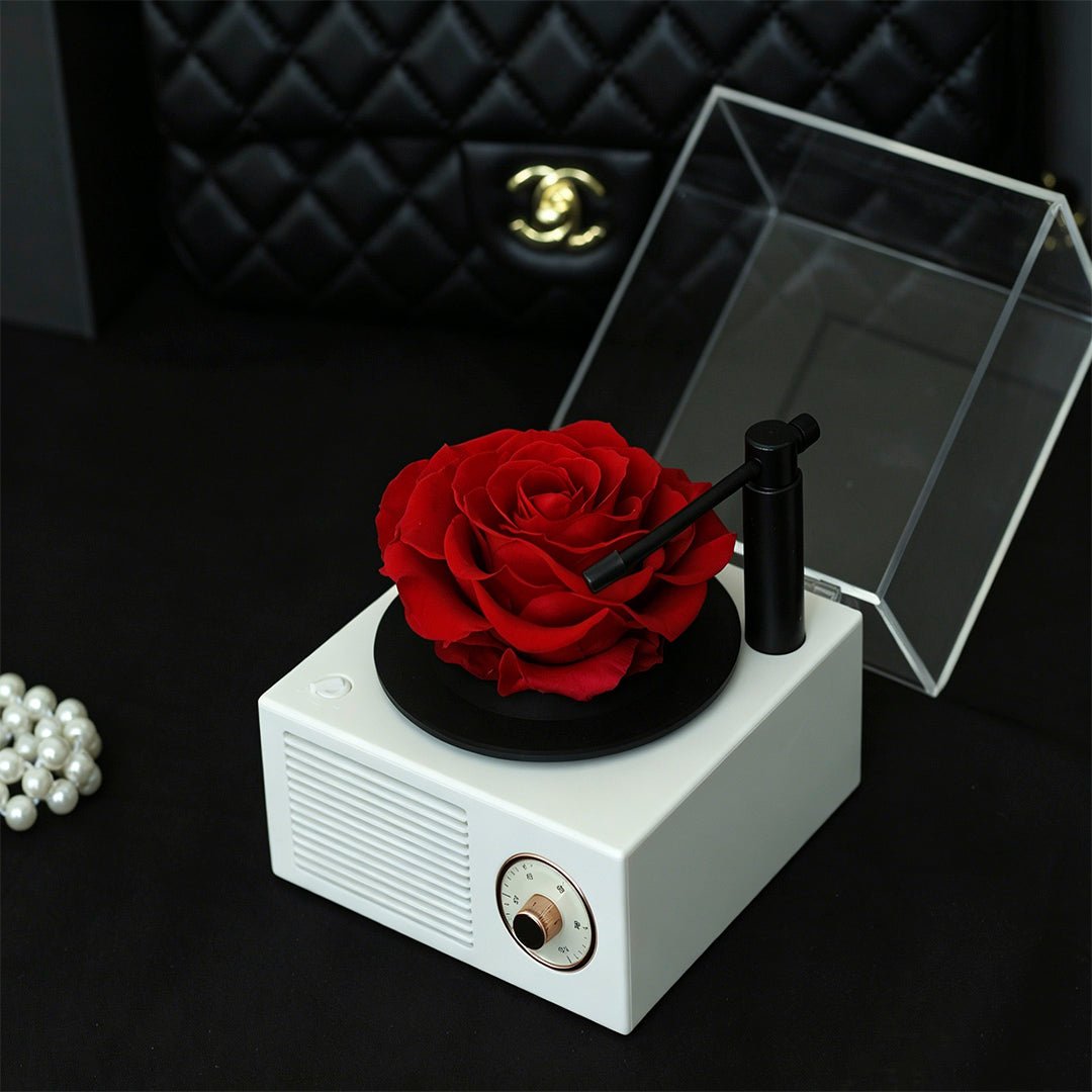 Romantic Music Memory Box - Aura Petal