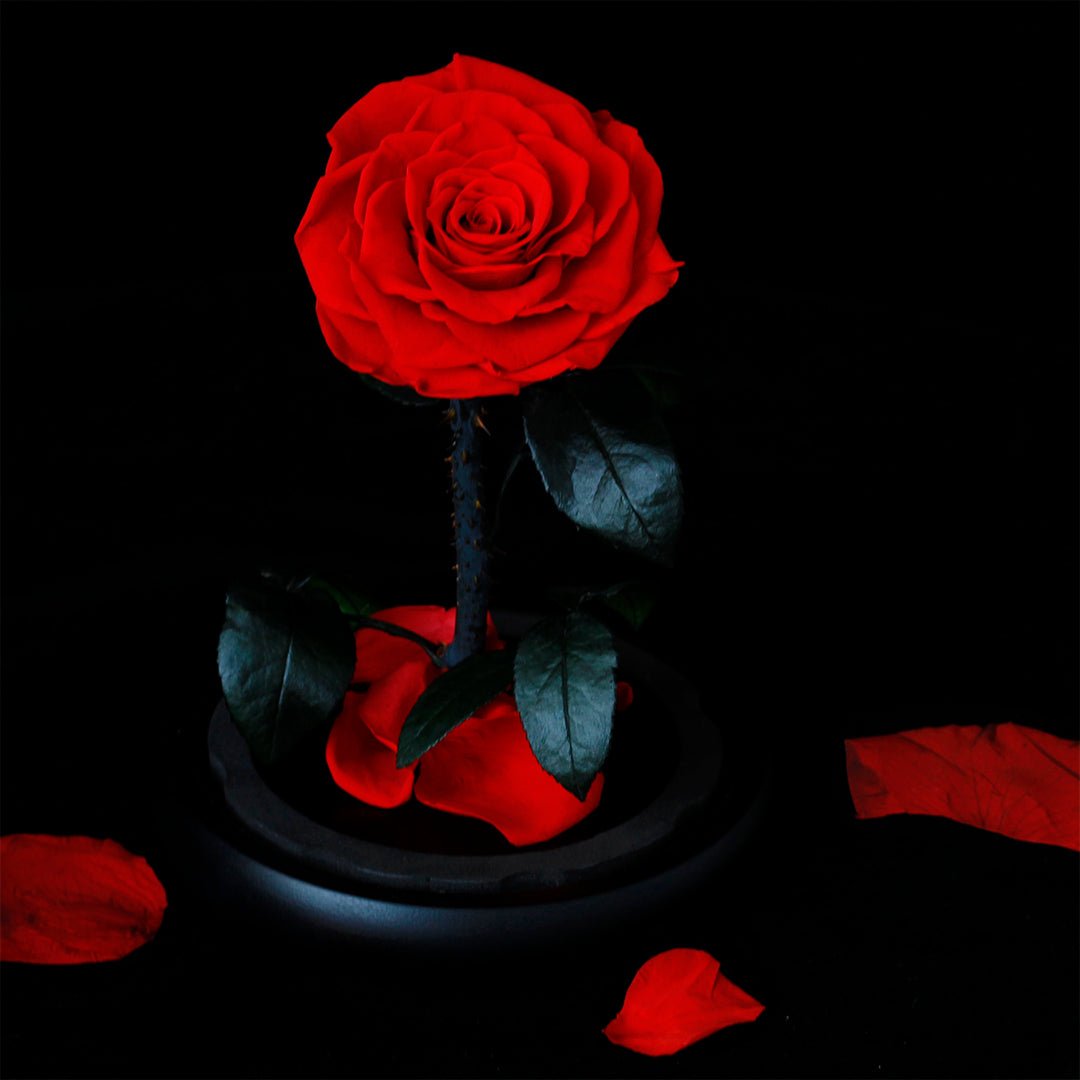 Forever Under Glass Dome—Scattered Aura petals - Aura Petal