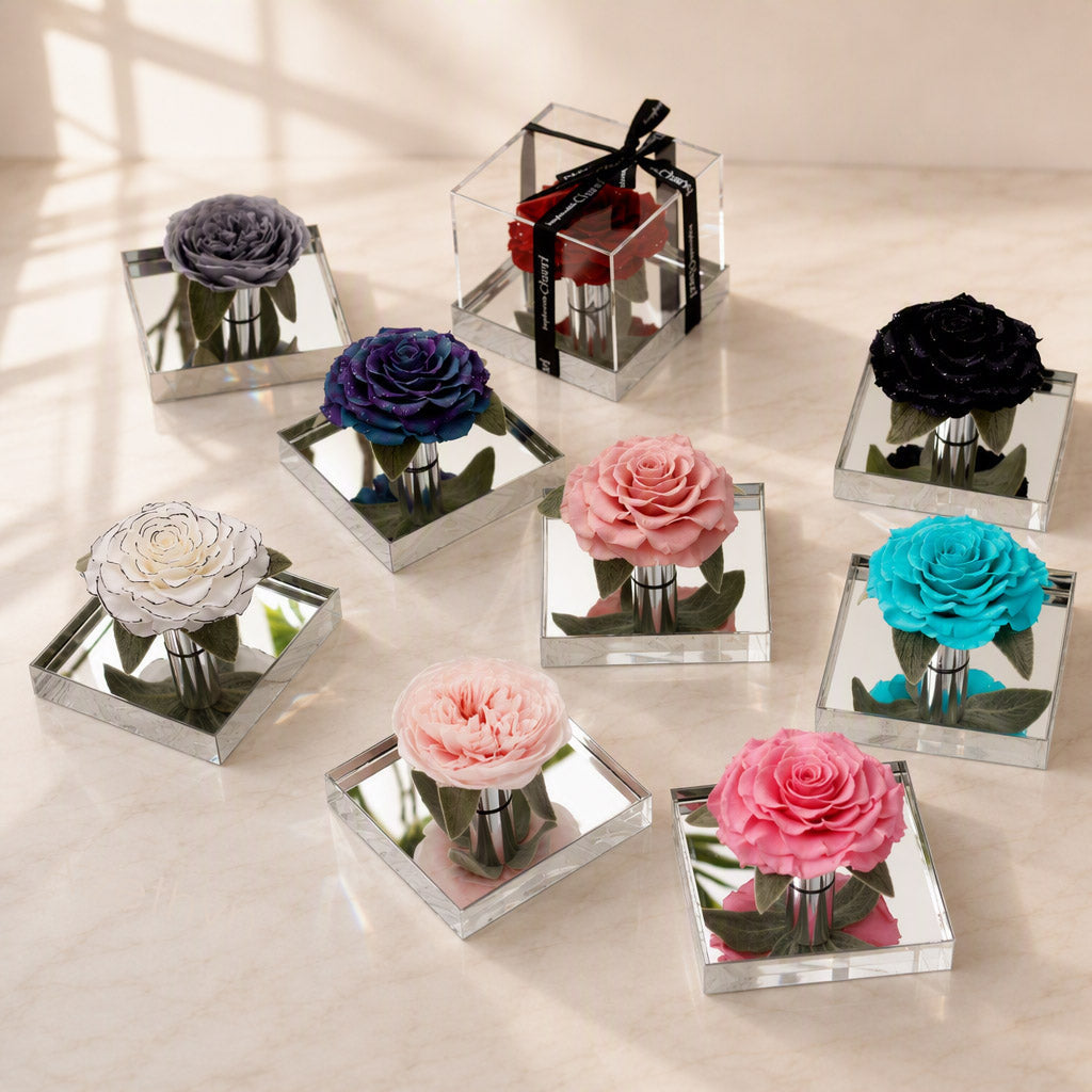Modern Acrylic Art Frames - Aura Petal