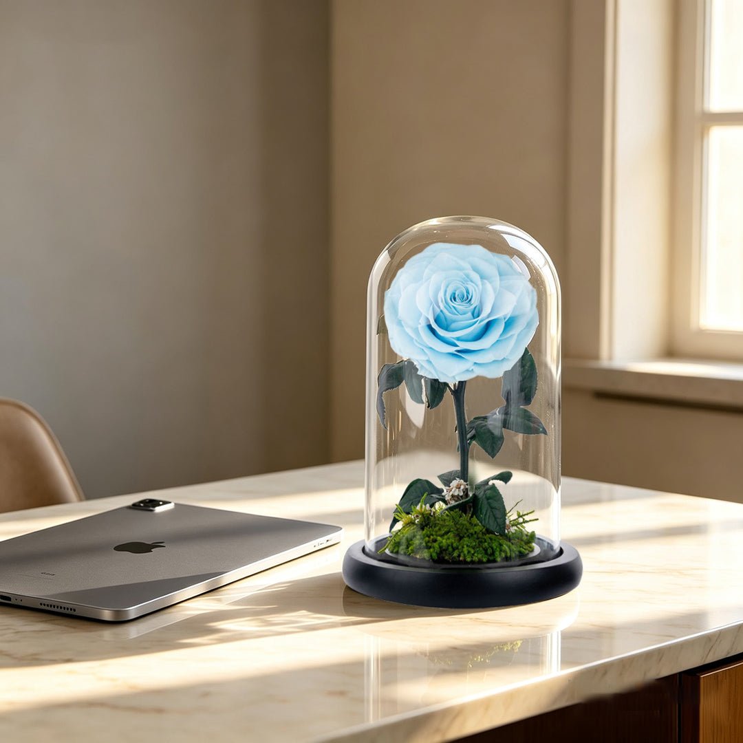A Rose That Lives Forever ——Glass Dome with Moss Base - Aura Petal