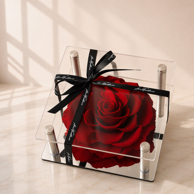 Forever Romance Rose in Acrylic Column Display Box