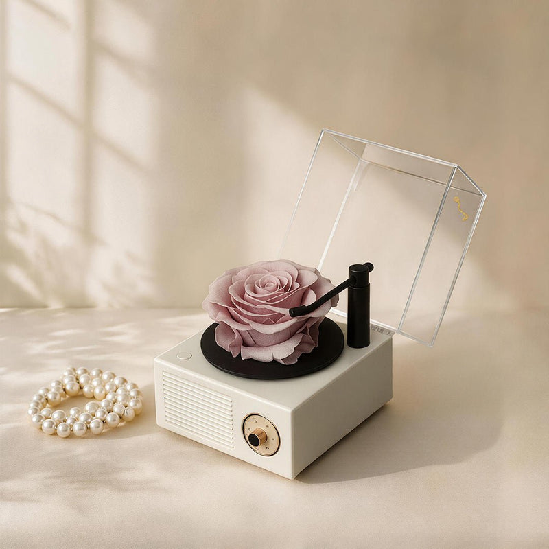 Romantic Music Memory Box - Aura Petal