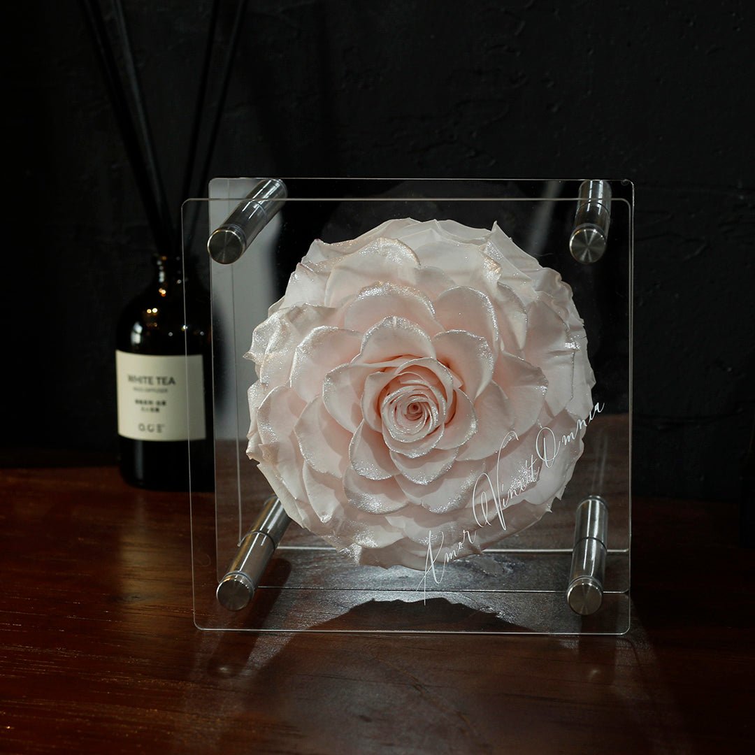 Forever Romance Rose — Acrylic Column Display Box - Aura Petal