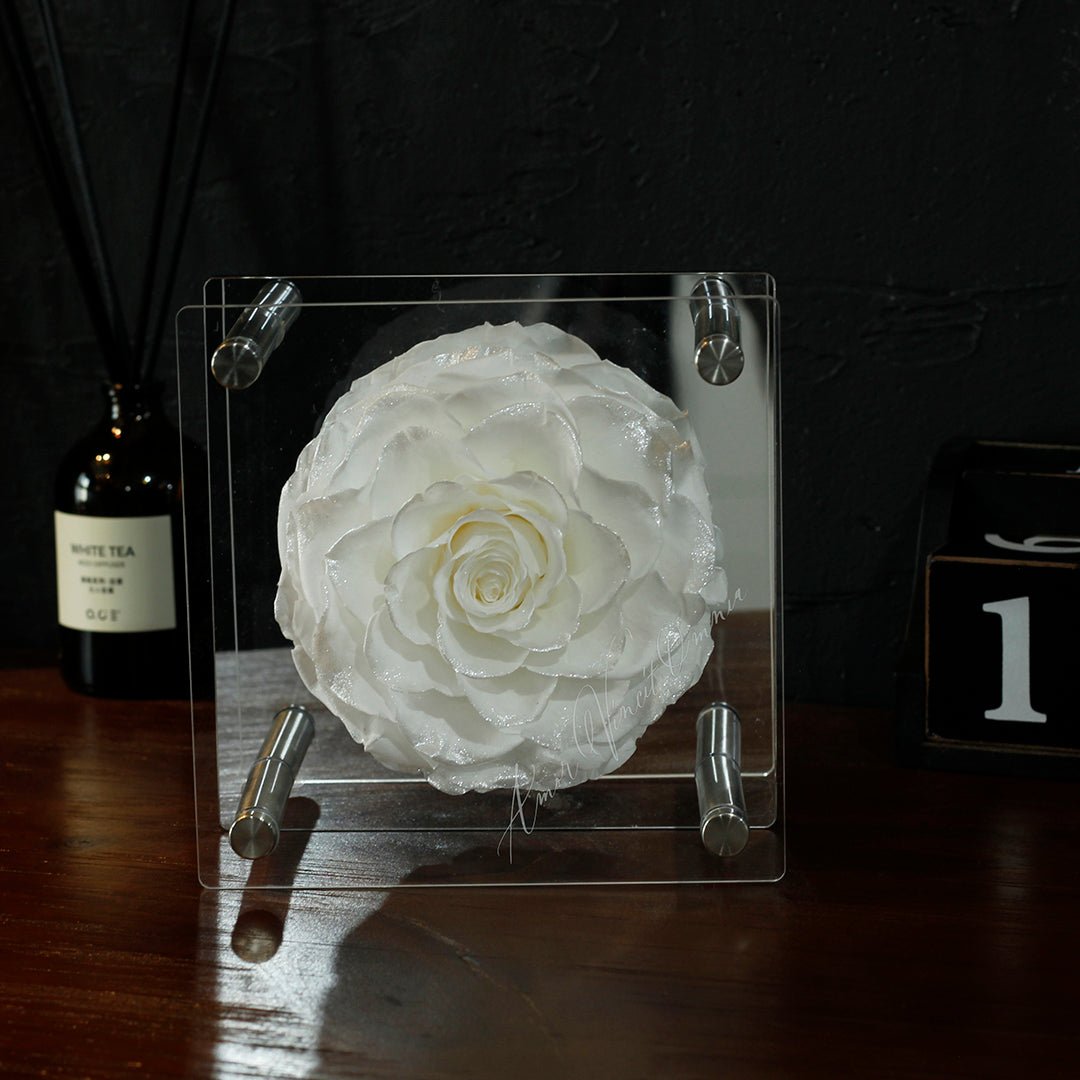 Forever Romance Rose — Acrylic Column Display Box - Aura Petal