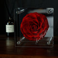 Forever Romance Rose — Acrylic Column Display Box - Aura Petal