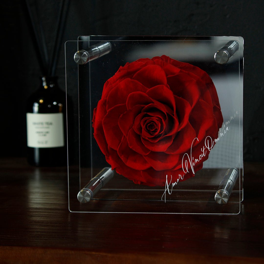 Forever Romance Rose — Acrylic Column Display Box - Aura Petal