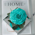 Mirror Large Rose Promise—Acrylic Display Box - Aura Petal