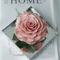 Mirror Large Rose Promise—Acrylic Display Box - Aura Petal