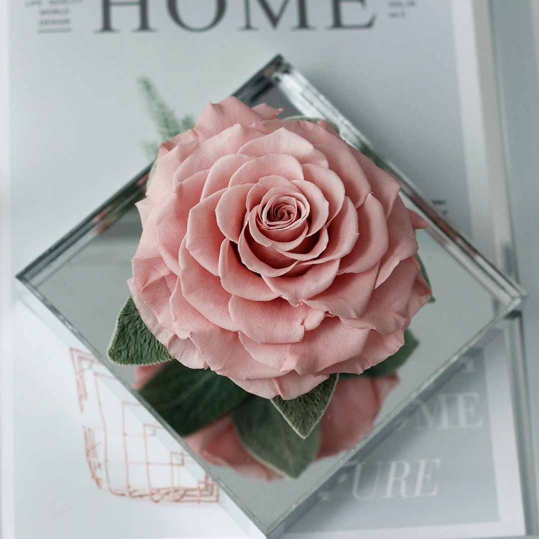 Mirror Large Rose Promise—Acrylic Display Box - Aura Petal