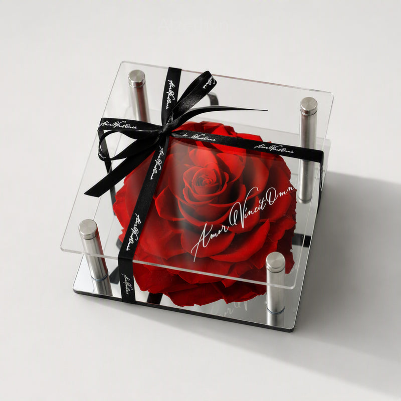 Forever Romance Rose in Acrylic Column Display Box