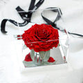 Starlight Mirror Large Rose Promise—Acrylic Display Box - Aura Petal