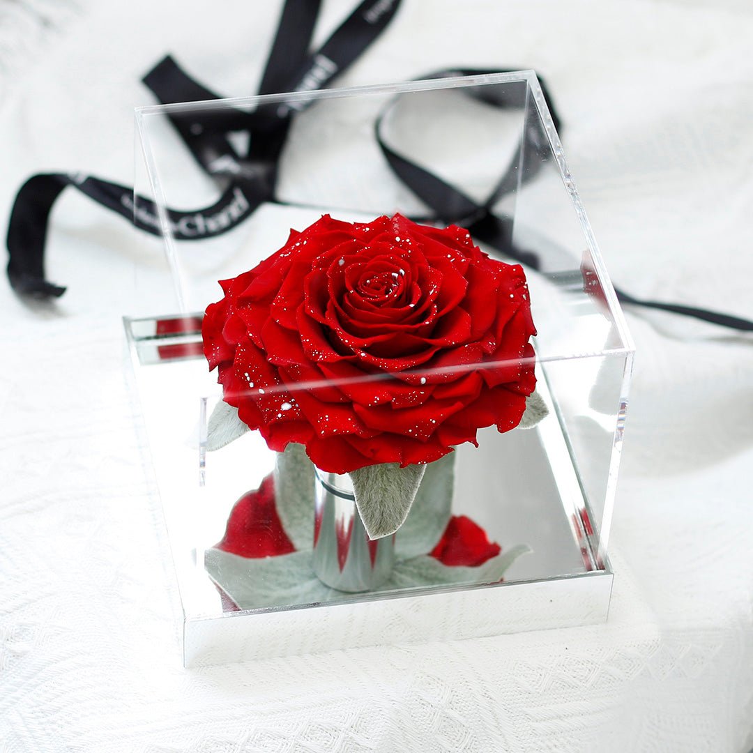 Starlight Mirror Large Rose Promise—Acrylic Display Box - Aura Petal