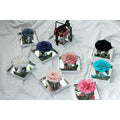 Mirror Large Rose Promise—Acrylic Display Box - Aura Petal