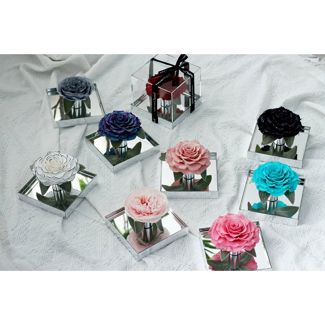Mirror Large Rose Promise—Acrylic Display Box - Aura Petal
