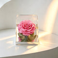 Mirror Large Rose Promise—Acrylic Display Box - Aura Petal