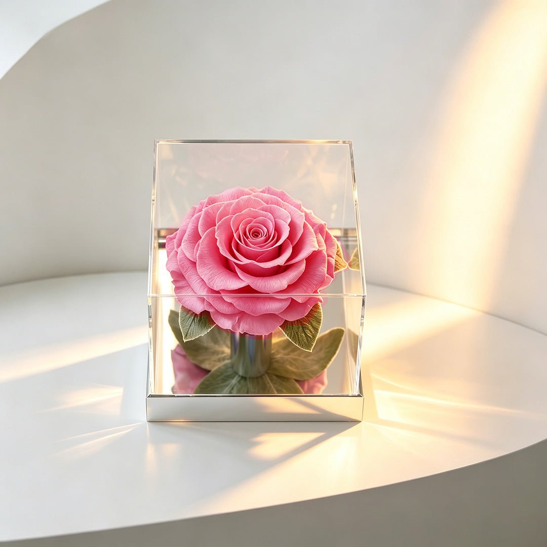 Mirror Large Rose Promise—Acrylic Display Box - Aura Petal