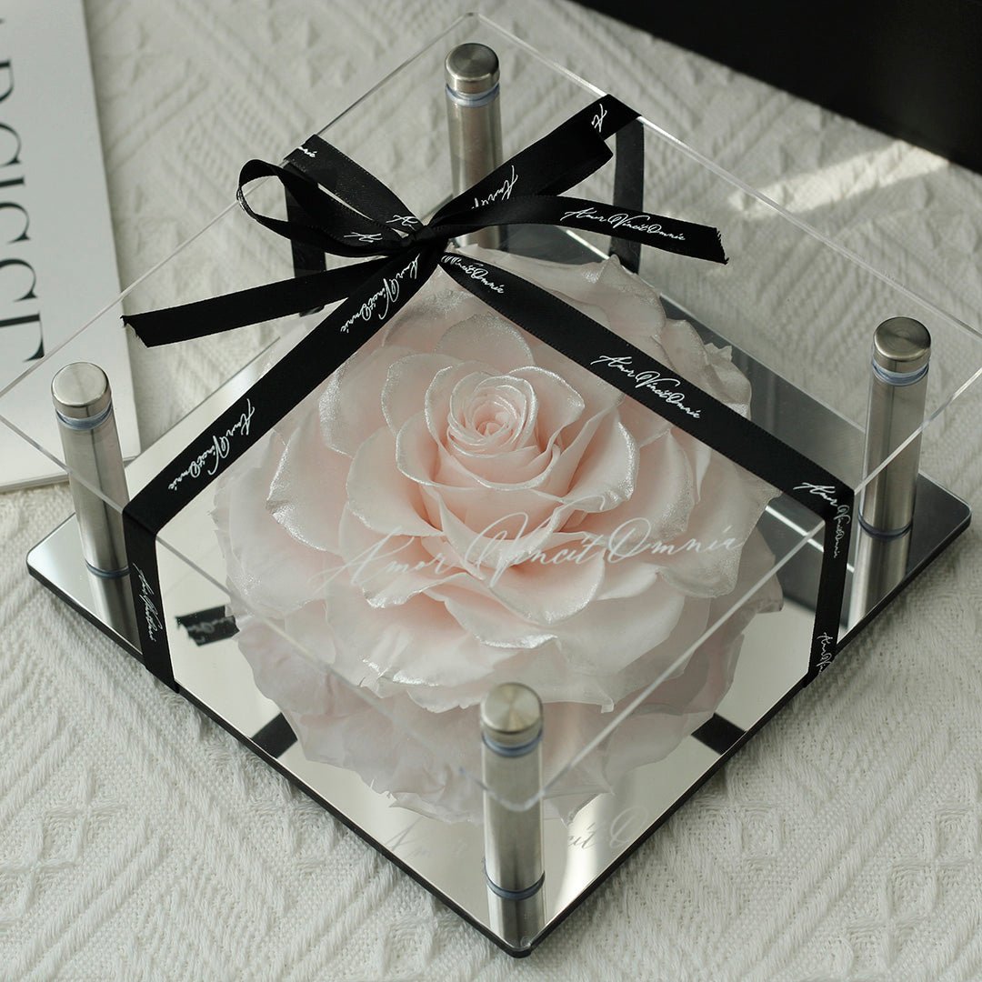 Forever Romance Rose — Acrylic Column Display Box - Aura Petal