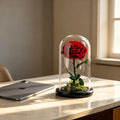 A Rose That Lives Forever ——Glass Dome with Moss Base - Aura Petal