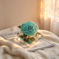 Mirror Large Rose Promise—Acrylic Display Box - Aura Petal