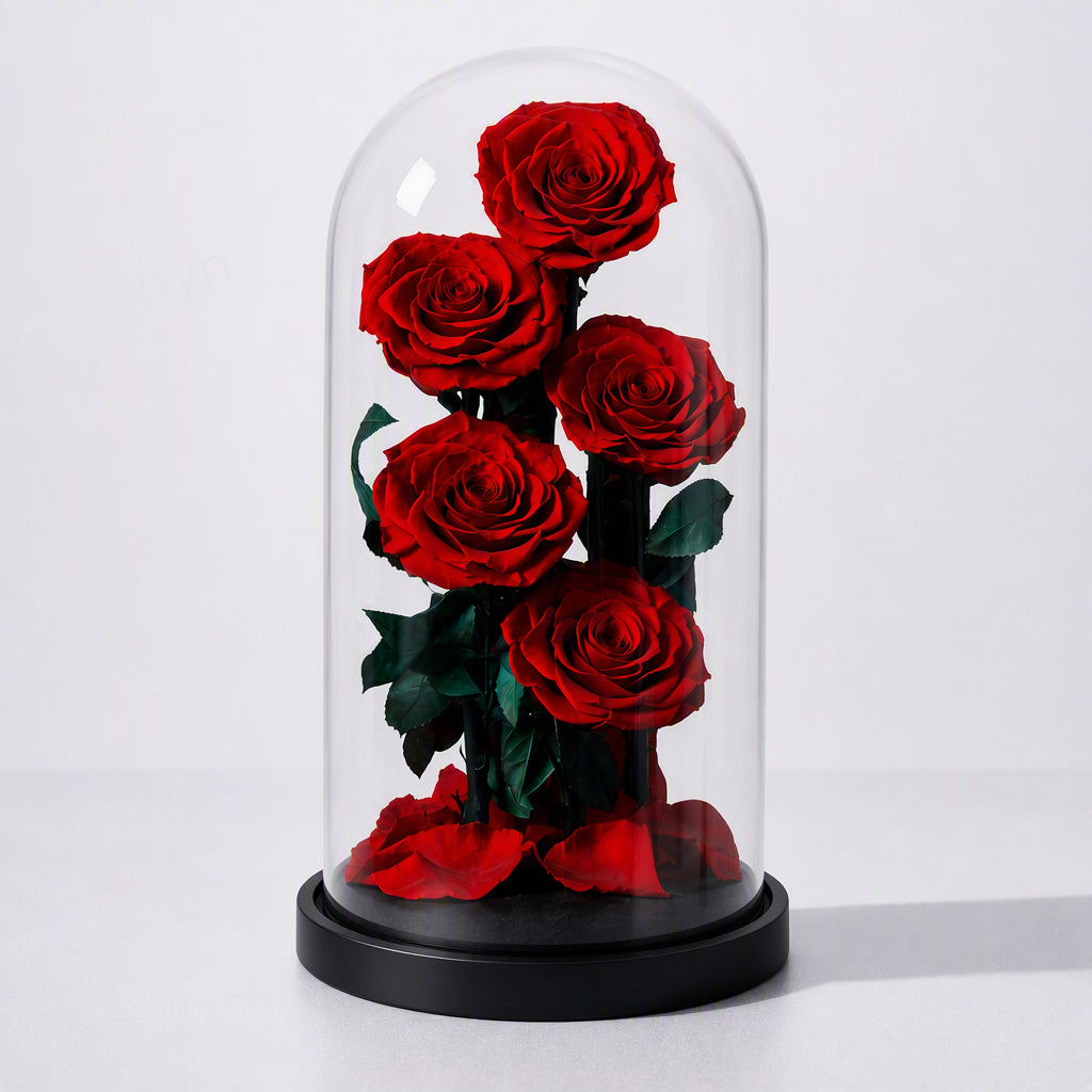 The Promise That Never Ends Preserved Rose Gift