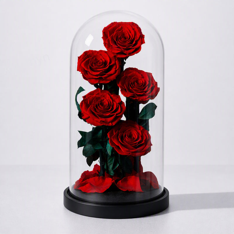 The Promise That Never Ends Preserved Rose Gift