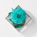 Mirror Rose Promise in Acrylic Display Box