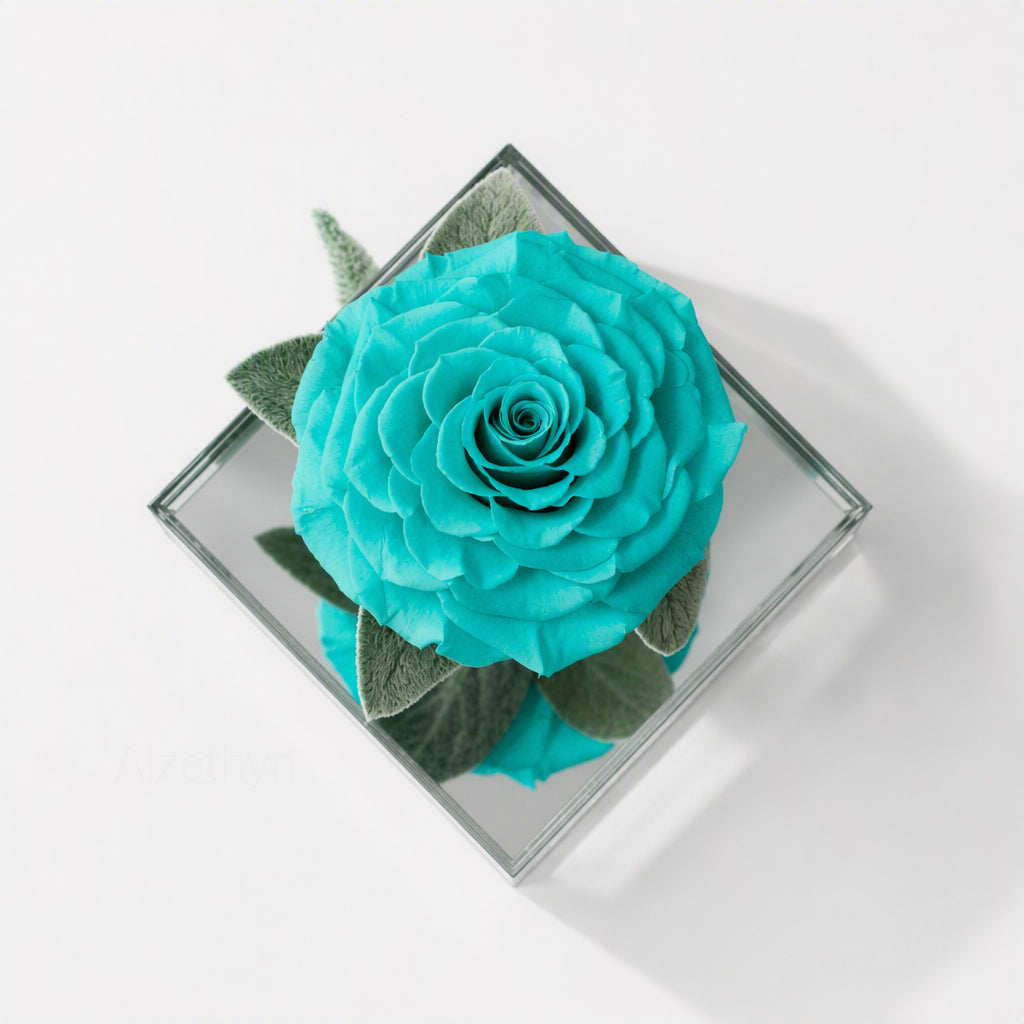 Mirror Rose Promise in Acrylic Display Box