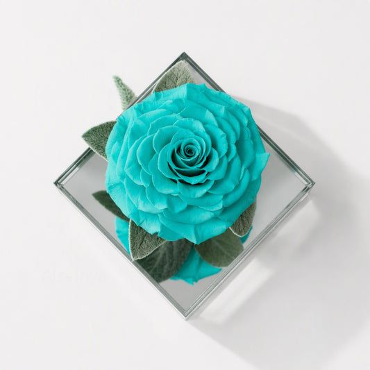 Mirror Rose Promise in Acrylic Display Box