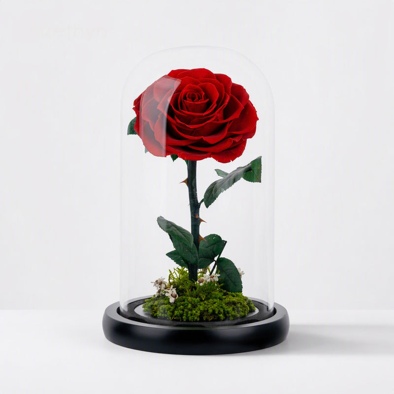 A Rose That Lives Forever in a Glass Dome with Moss Base