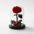 Forever Under Glass Dome with Scattered Rose Petals