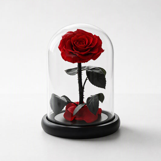 Forever Under Glass Dome with Scattered Rose Petals