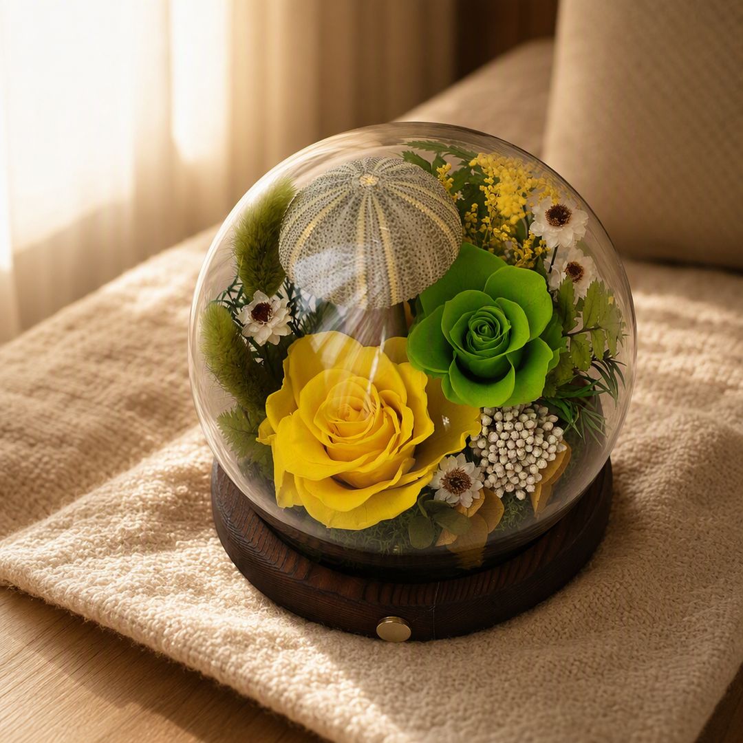 Sea Bloom Glow Dome - Alzethyn