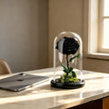 A Rose That Lives Forever ——Glass Dome with Moss Base - Aura Petal