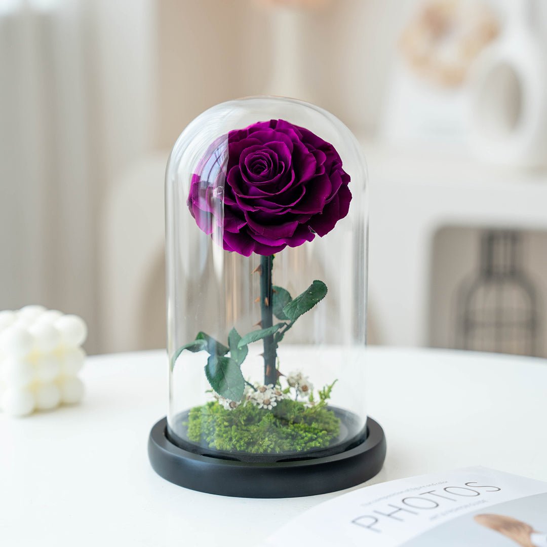 A Rose That Lives Forever ——Glass Dome with Moss Base - Aura Petal