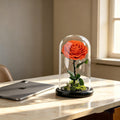 A Rose That Lives Forever ——Glass Dome with Moss Base - Aura Petal