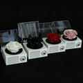 Romantic Music Memory Box - Aura Petal