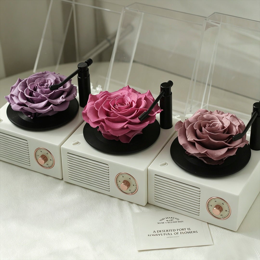 Romantic Music Memory Box - Aura Petal