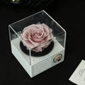 Romantic Music Memory Box - Aura Petal