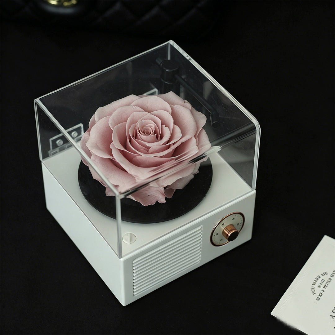 Romantic Music Memory Box - Aura Petal