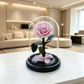 Forever Under Glass Dome—Scattered Aura petals - Aura Petal