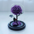 Forever Under Glass Dome—Scattered Aura petals - Aura Petal