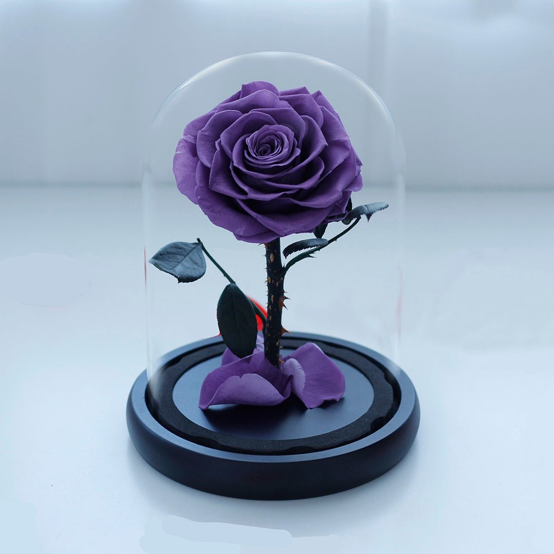 Forever Under Glass Dome—Scattered Aura petals - Aura Petal