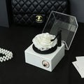 Romantic Music Memory Box - Aura Petal